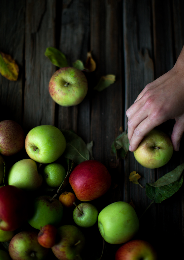 apple recipes